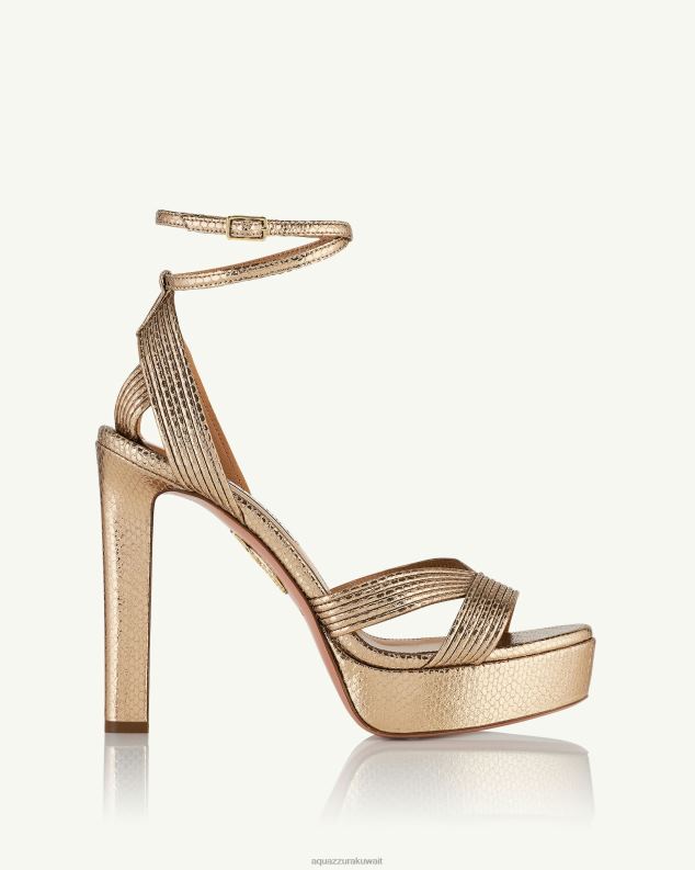 Aquazzura هضبة آري صندل 120 ذهب HNZRT276