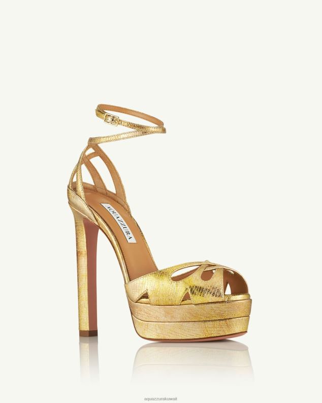 Aquazzura كل شيء على هضبة الصندل 140 ذهب HNZRT277