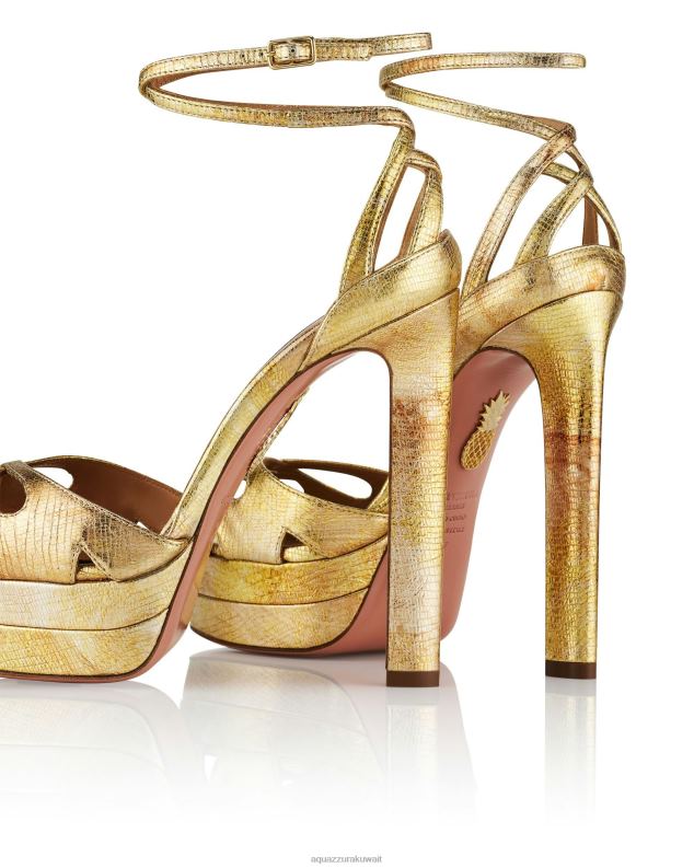 Aquazzura كل شيء على هضبة الصندل 140 ذهب HNZRT277